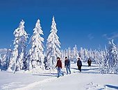 Winterurlaub in Bayern