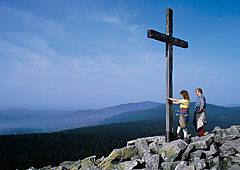 Bayerwaldberg Lusen in Bayern