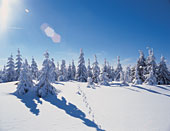 Weihnachtslandschaft im Bayerischen Wald