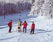 Skifahren im Bayerischen Wald - Weihnachten 2025