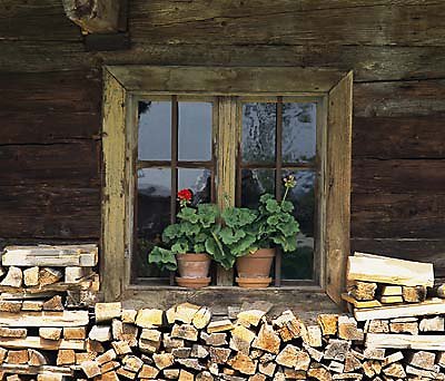 Bayerischer Wald