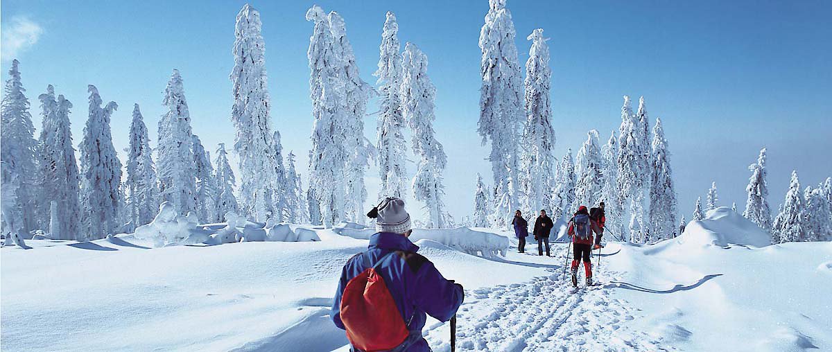 Winter im Bayerischen Wald