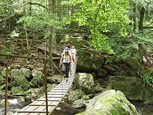 Bayerischer Wald