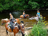Reiten Bayerischer Wald