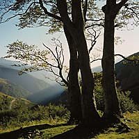 Granit-Wanderungen um Blaibach