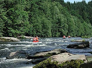 Ausgefallene Aktivitäten im Bayerischen Wald