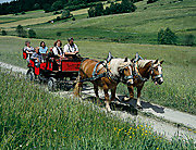 Kutschenfahren im Bayerischen Wald