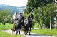 Kutschfahrten im Bayerischen Wald, Bayern