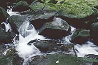 Ferienregion am Nationalpark Bayerischer Wald