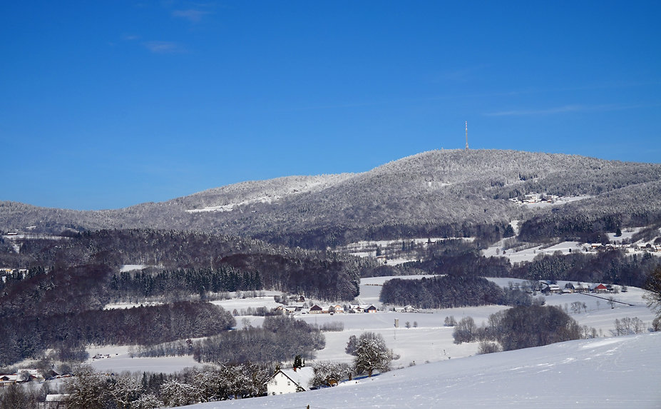 Bayerischer Wald