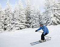 Bayerischer Wald